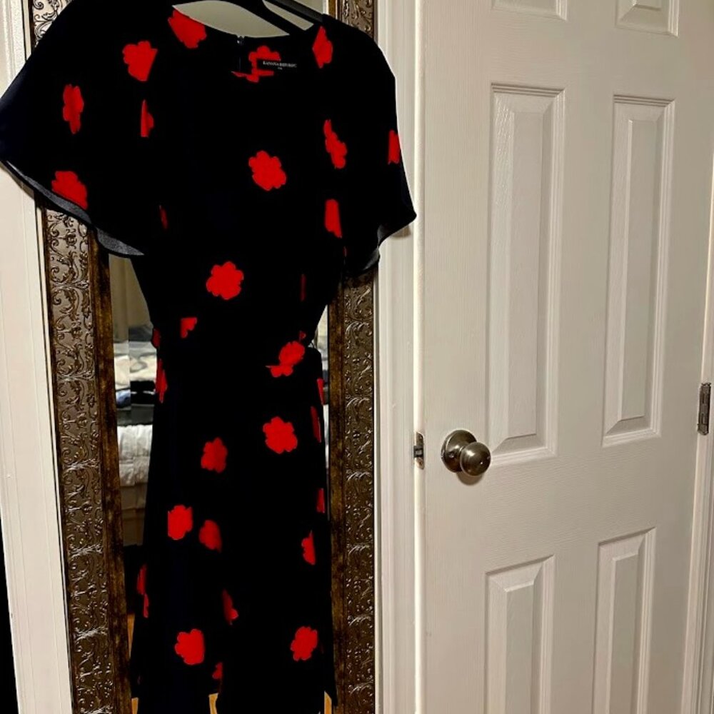Banana Republic navy dress with red flower dress, short sleeves, size 6